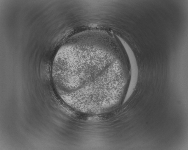 X0000076300470200610201551