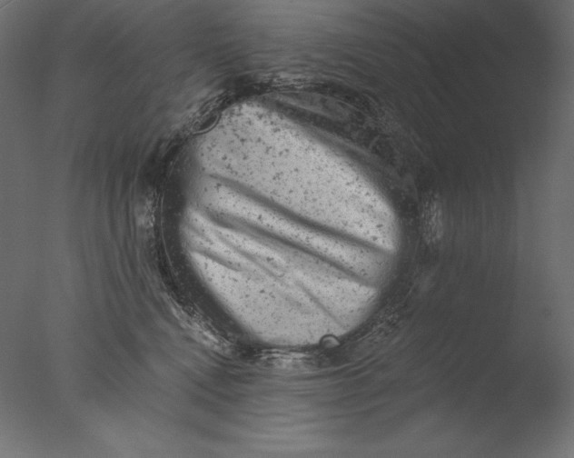 X0000076300472200610201551