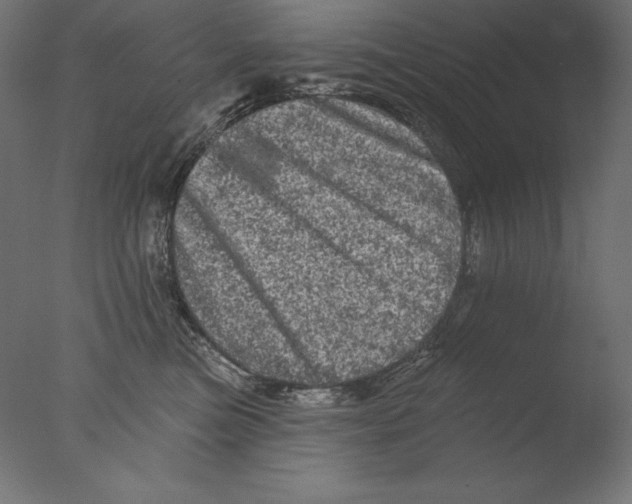 X0000076300473200610201551