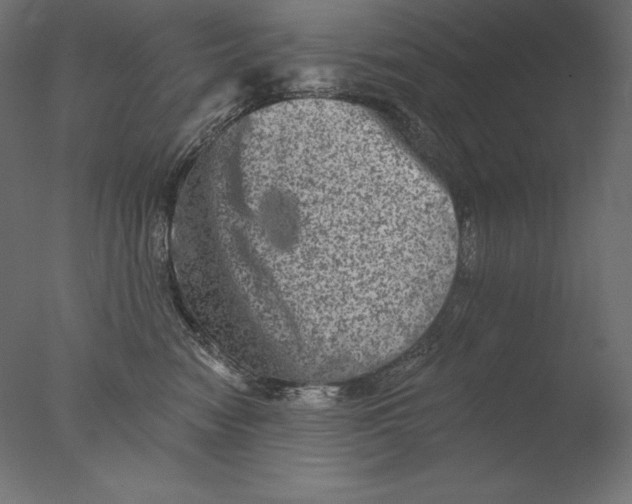 X0000076300474200610201551