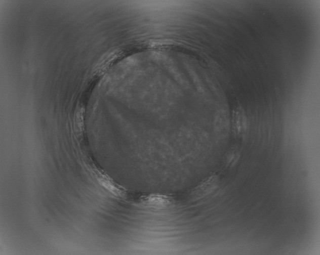 X0000076300475200610201551