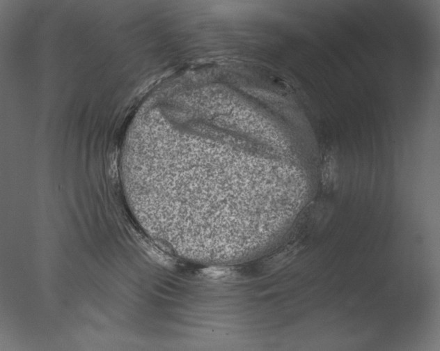 X0000076300477200610201551