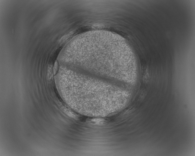 X0000076300478200610201551