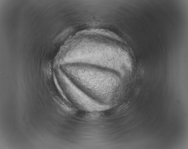 X0000076300479200610201551