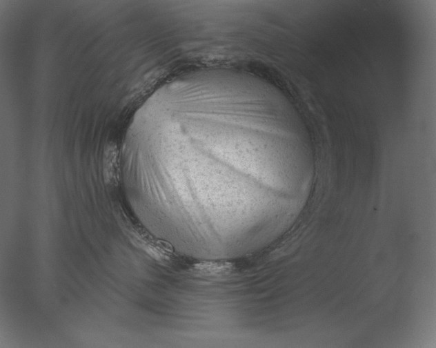 X0000076300480200610201551