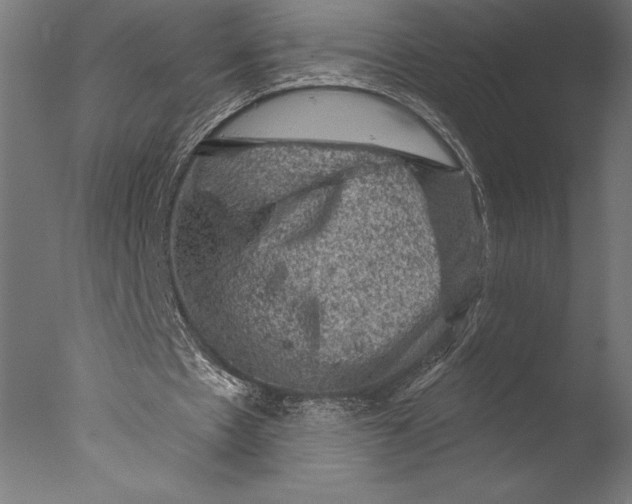 X0000076300481200610201550