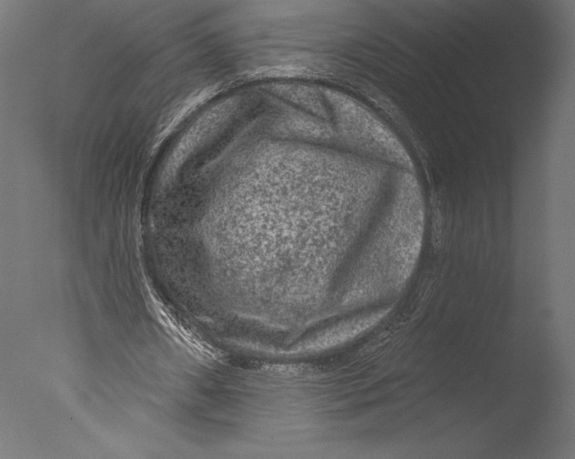 X0000076300482200610201550