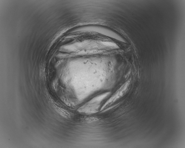 X0000076300483200610201550