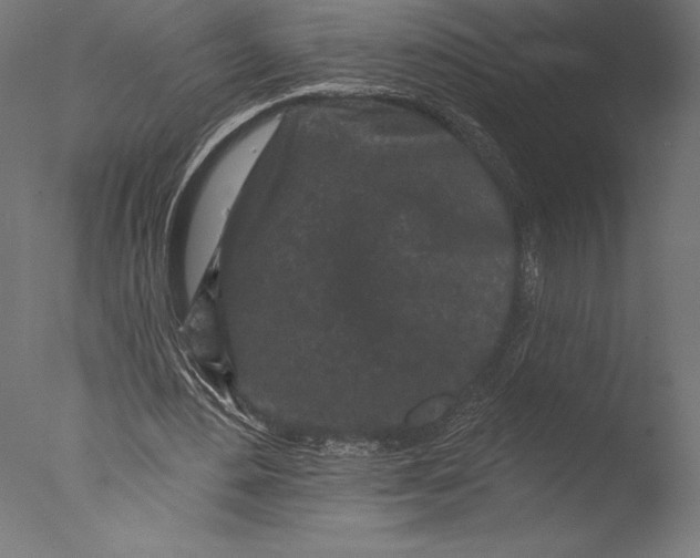 X0000076300484200610201550