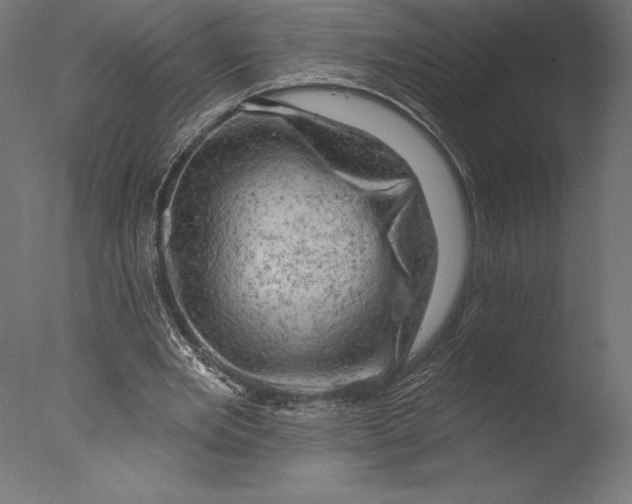 X0000076300485200610201550