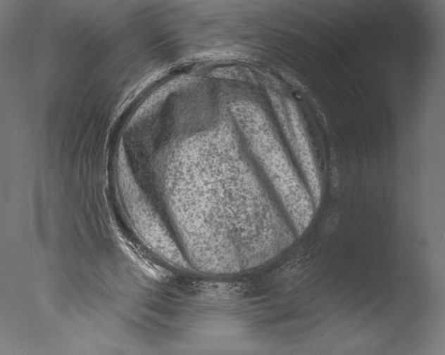 X0000076300486200610201550