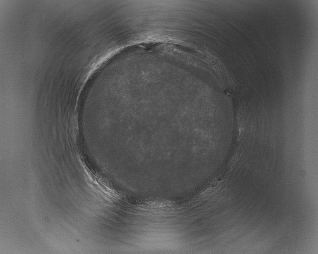 X0000076300488200610201550