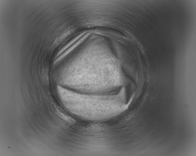 X0000076300489200610201550