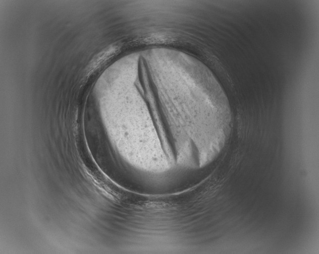 X0000076300490200610201550