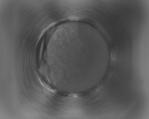 X0000076300492200610201550