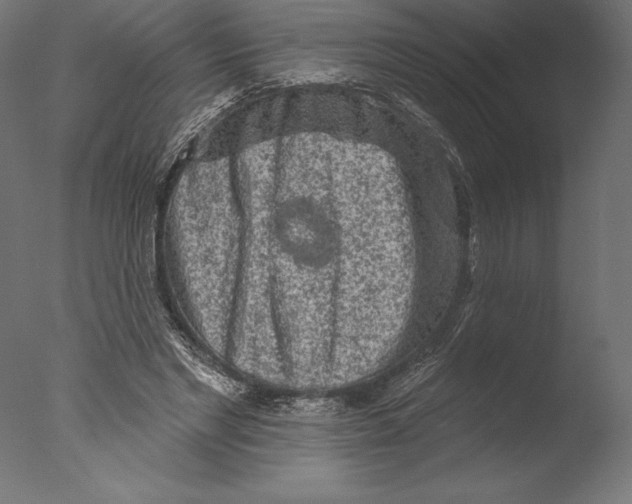 X0000076300493200610201550