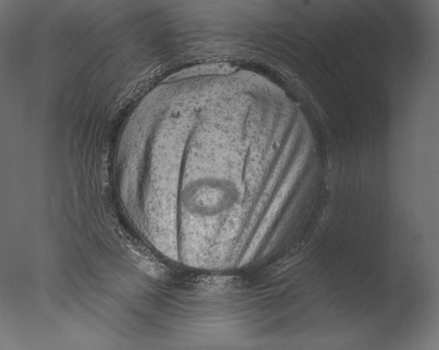 X0000076300497200610201550