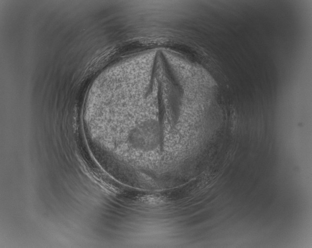 X0000076300498200610201550