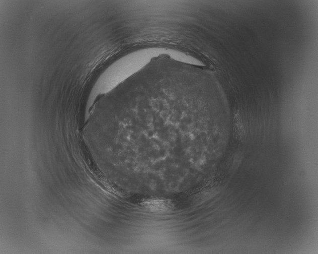 X0000076300499200610201550