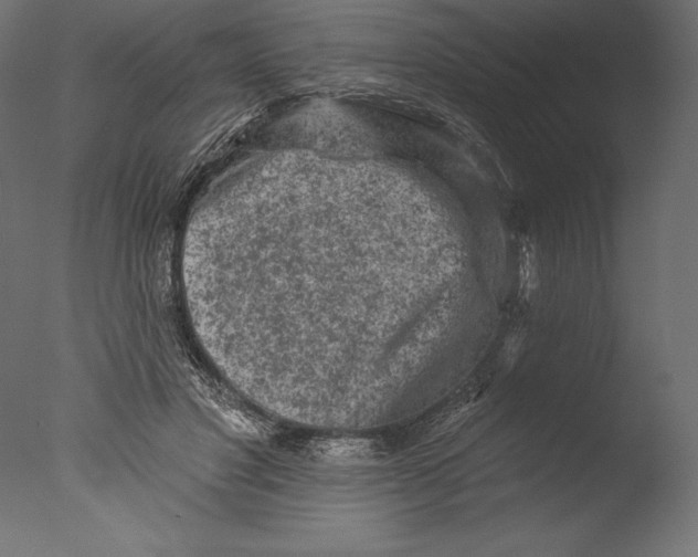 X0000076300501200610201550