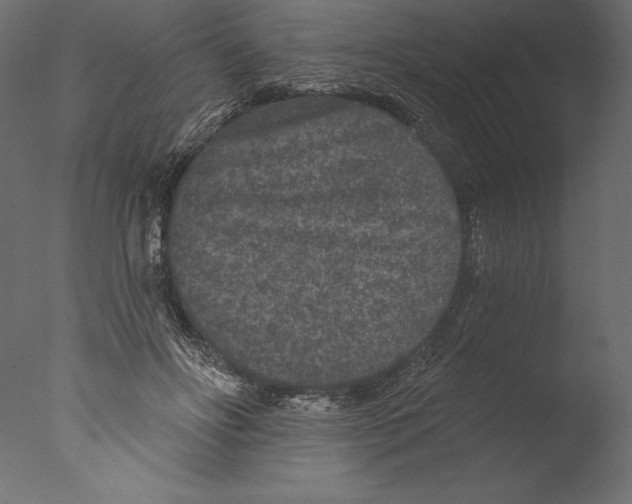 X0000076300502200610201550