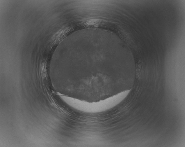 X0000076300504200610201550