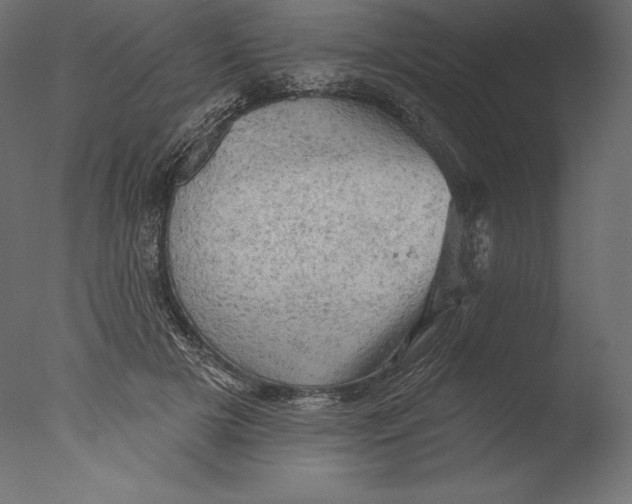 X0000076300505200610201550