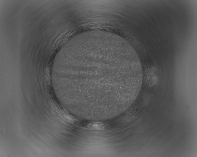 X0000076300506200610201550