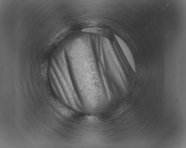 X0000076300509200610201550