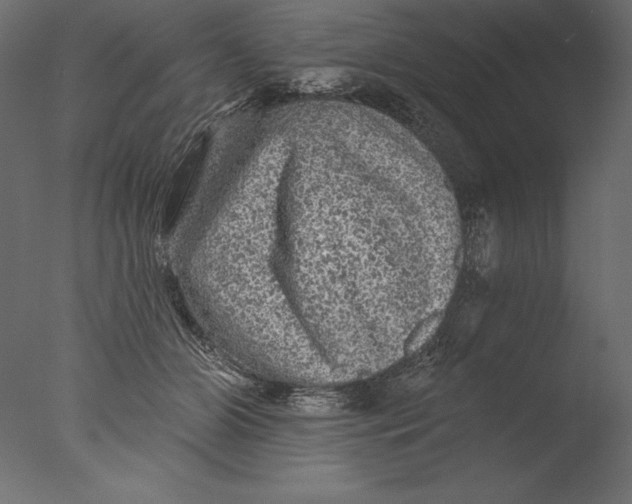 X0000076300510200610201550