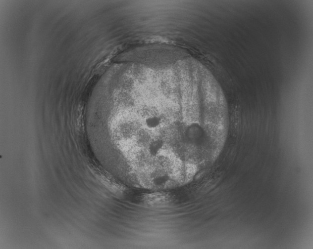 X0000076300511200610201550