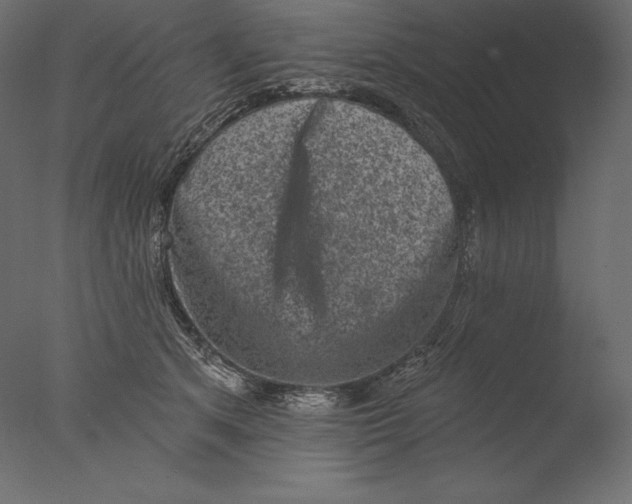 X0000076300513200610201550