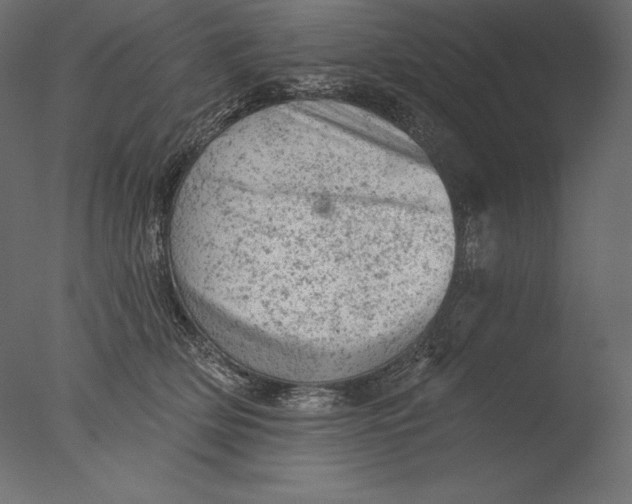 X0000076300514200610201550