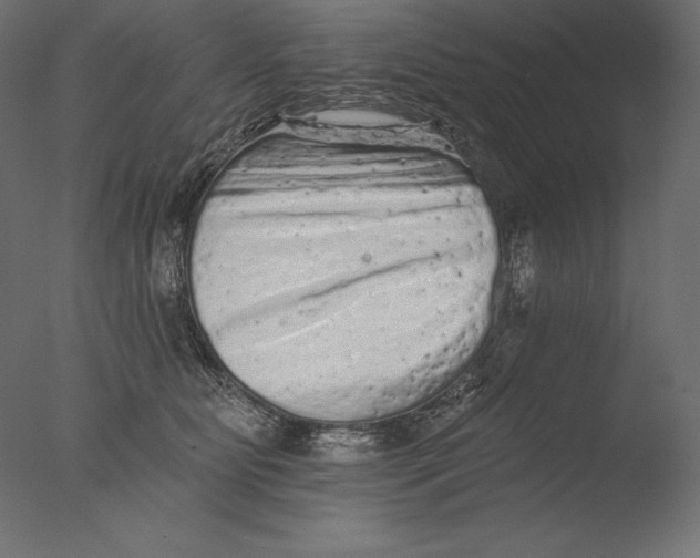 X0000076300515200610201550