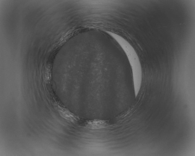 X0000076300517200610201550