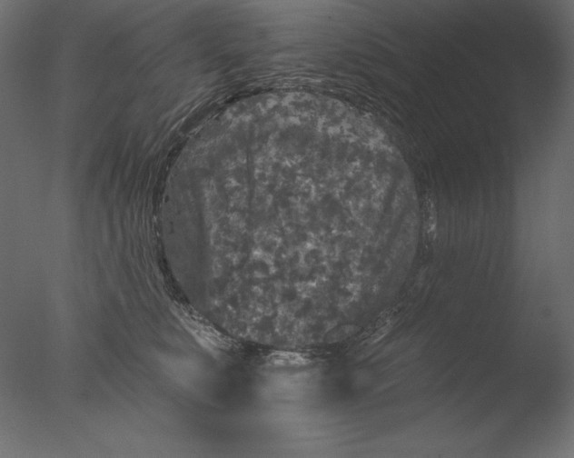 X0000076300519200610201550