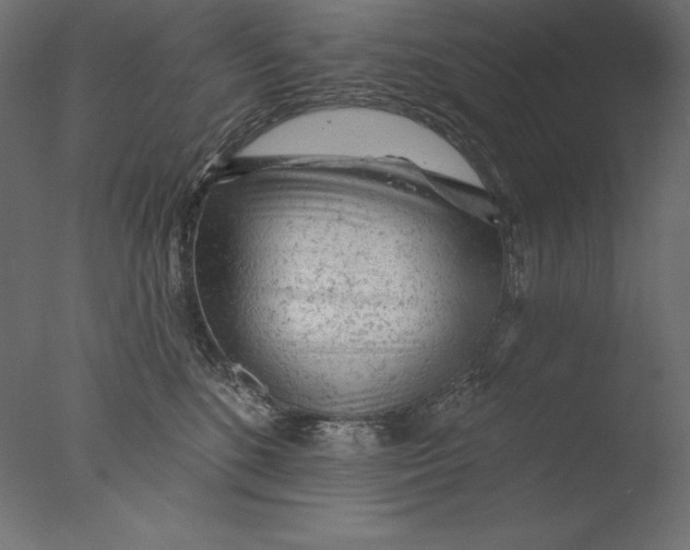 X0000076300520200610201550