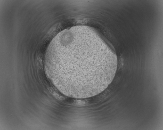 X0000076300522200610201550