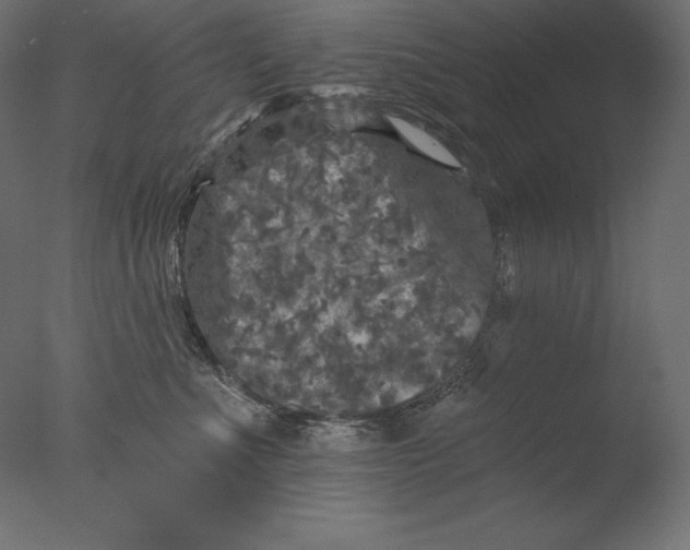 X0000076300523200610201550