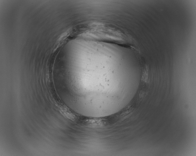 X0000076300524200610201550