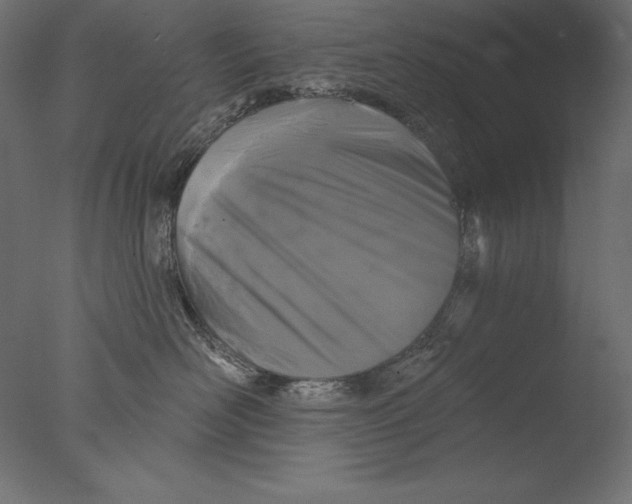 X0000076300526200610201550