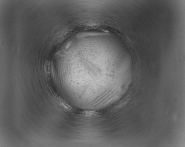 X0000076300528200610201550