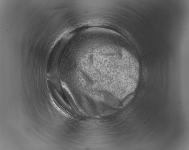 X0000076300530200610201549