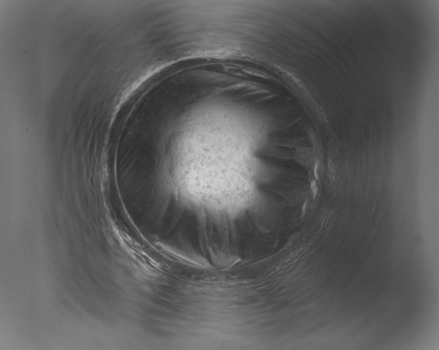 X0000076300532200610201549