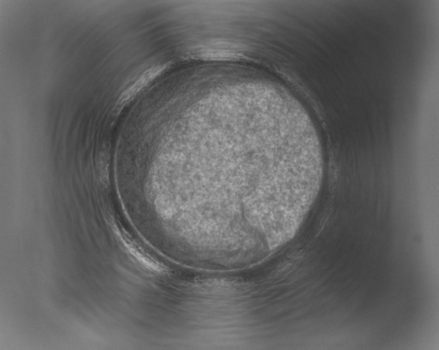 X0000076300533200610201549