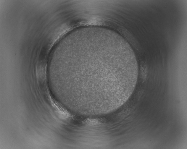 X0000076300534200610201549