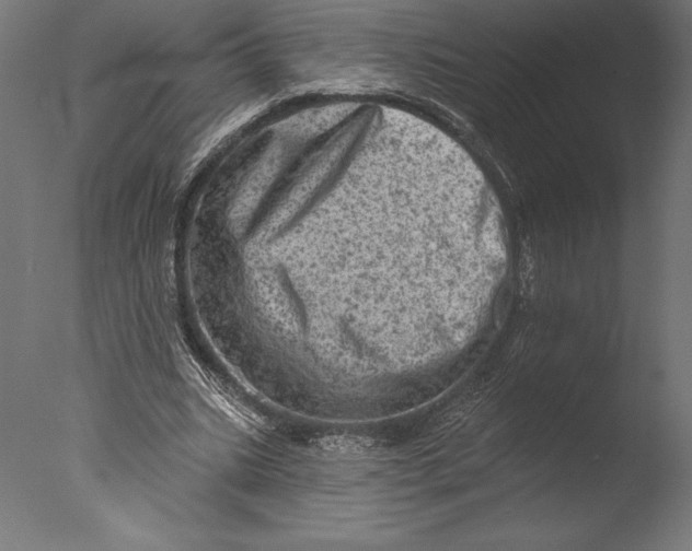 X0000076300535200610201549