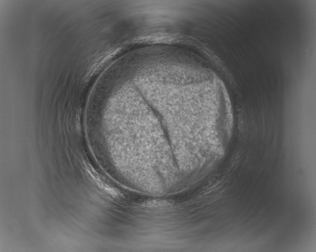 X0000076300537200610201549