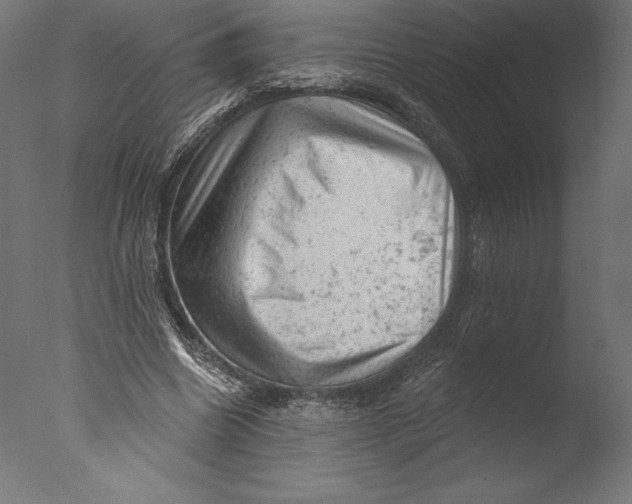 X0000076300538200610201549