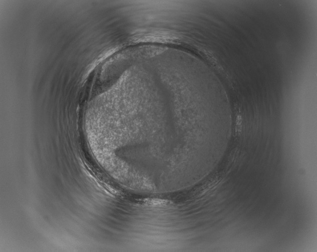 X0000076300539200610201549